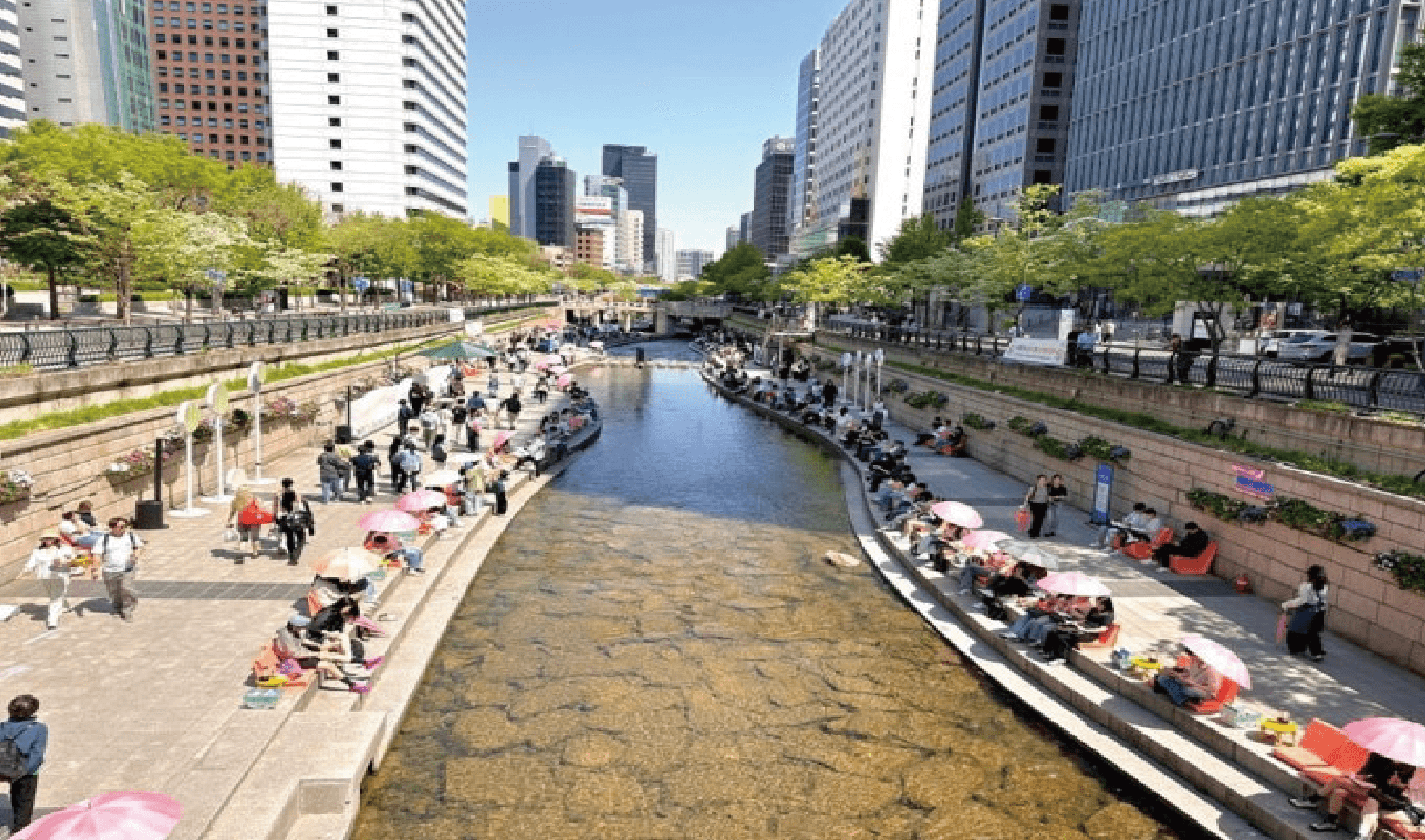 Cheonggyecheon Stream Bike Tour
