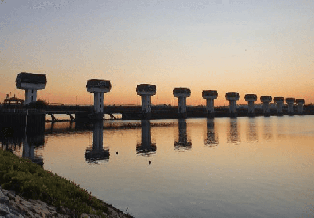Nakdong Estuary