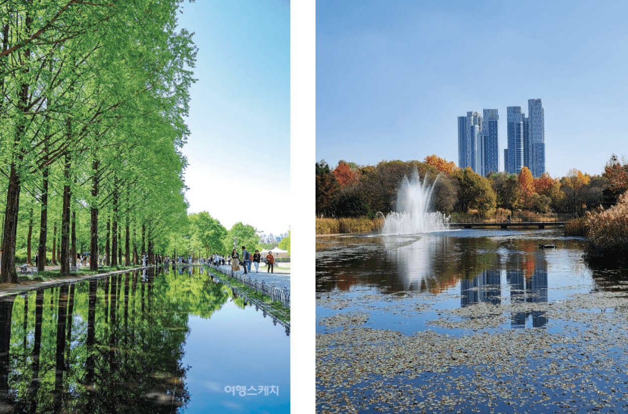 Seoul Forest Bike Tour